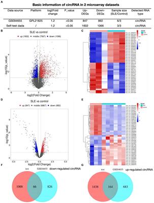 Construction of competing endogenous RNA networks in systemic lupus erythematosus by integrated analysis
